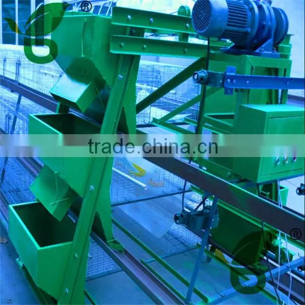 poultry farm automatic drinking system feeding system for 10000 chickens