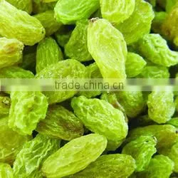 Supply Varies Dried Raisins in high quality