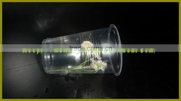 200ml disposable transparent plastic beverage cup