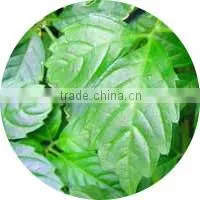Natural detox and cleansing tea slim fit green tea slimming tea for weight loss