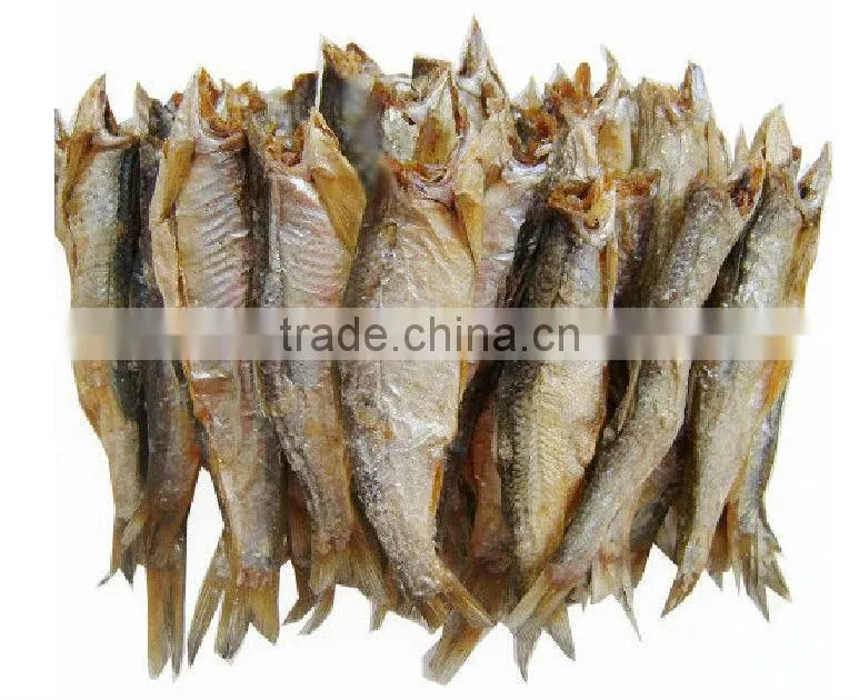 Dry Fruit Machinery 100--500kg/batch with Fast Delivery