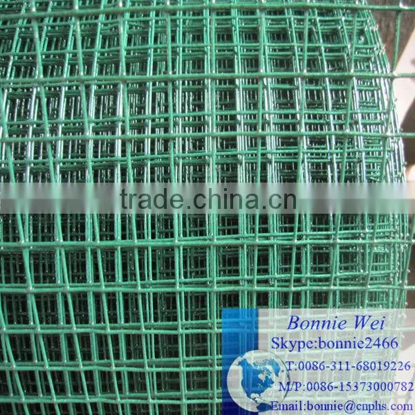 cheap pvc chicken mesh(factory & trader)
