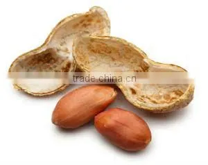 Peanuts