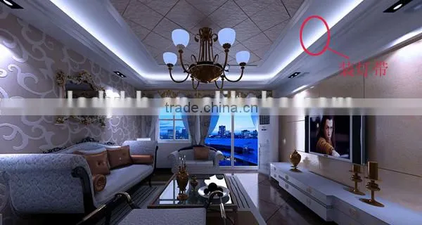 Top Quality LED Strip Lights 12V DC waterproof IP66