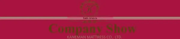 Vacuum compress packing Aloe Vera memory foam mattress