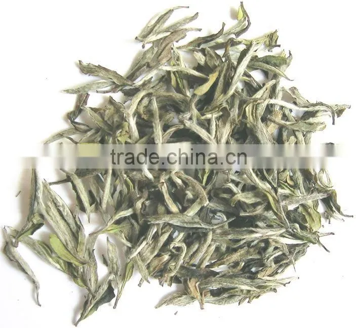 High Quality for Instant White Tea Powder