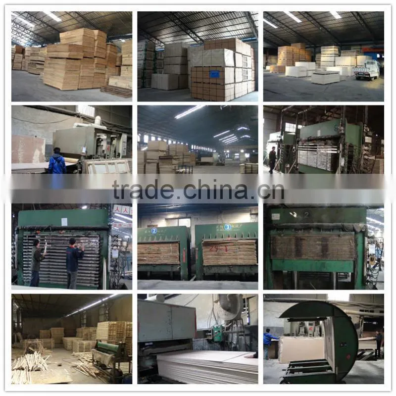 HPL high pressure laminated plywood poplar/ hardwood/combic/eucailptus/birch plywood