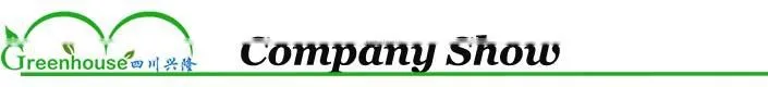 Multi Span Tunnel PE Plastic Film Hydroponic Systems Agricultural Commercial Greenhouse