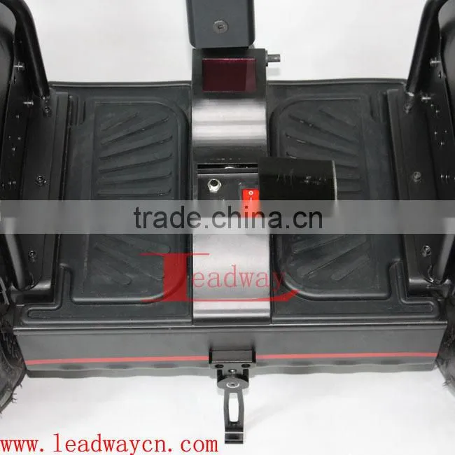 Leadway off-road 48v electric motorcycle 20km/h(RM09D+ 05)