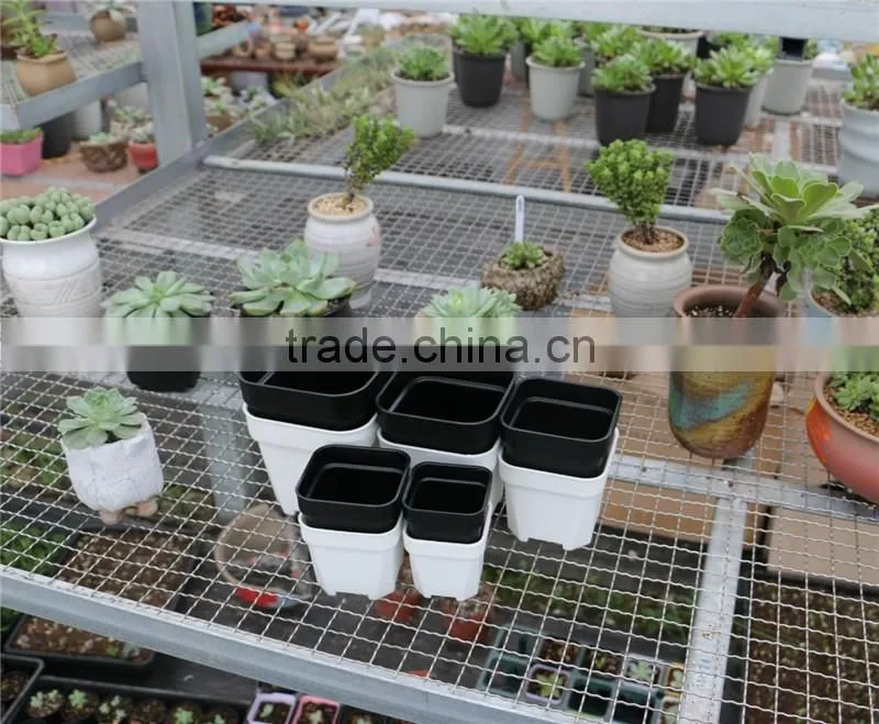 Plastic Colorful More Thickness Square Flower Pot