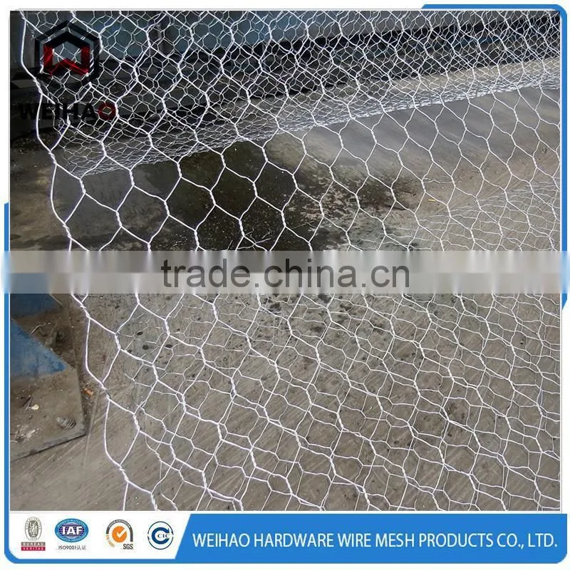12 Gauge Black Steel Wire/Galvanized Steel Wire