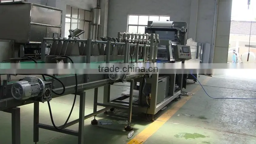 PE film wrapping machine/shrink packaging machine