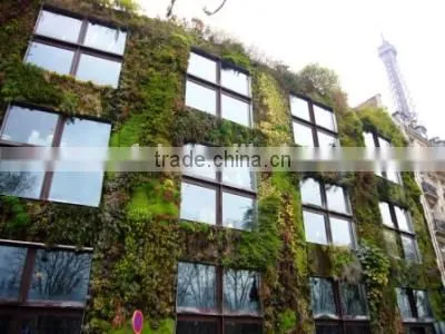 New Style High Quality Artistic Artificial Plant (grass/flower) Wall