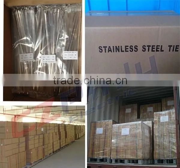 Types Of Stainless Steel Cable Ties