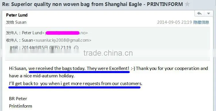 Promotion brand non woven bag customized (directly from factory)