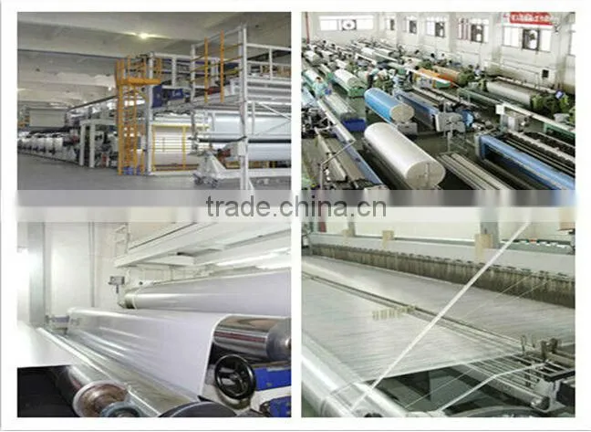 40m fire resistant clear roof tent