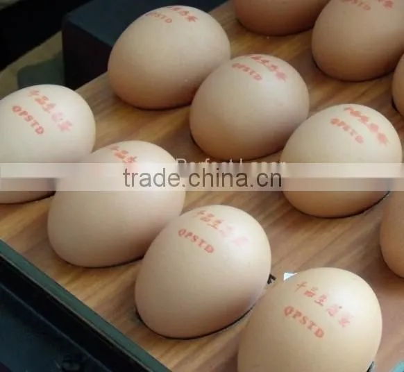 Perfect Laser PM-500 expire date egg Inkjet printer with red ink