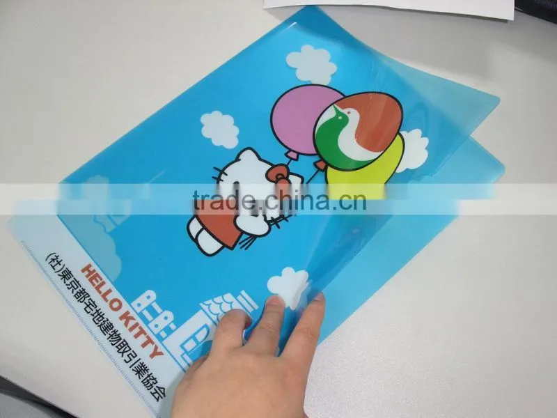 A4 clear file folder