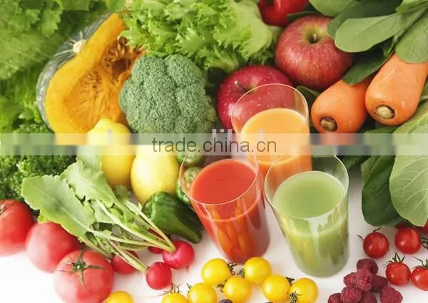 fresh fruits industrial juicer machine food processing machines