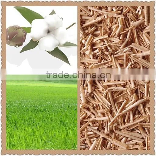 drumstick seeds soil ph meter moisture for sale
