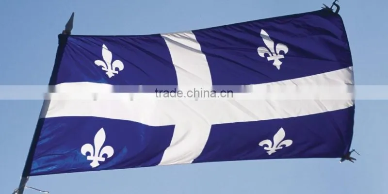 Customized Sports Flags/ Design your Promotional Flags/ High Quality National Flags/ Embroidered/ Sublimated/ Screen Print Logos