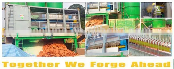 vacuum belt filter press - FAECHINA