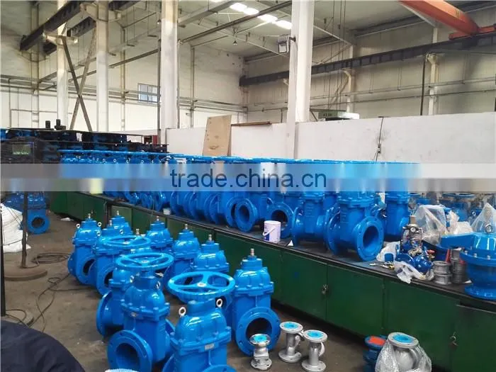 OEM Valve Factory Ductile Iron Y Filter