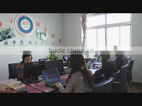 Xingtai Zhixia Auto Parts Co., Ltd. company overview - view 1