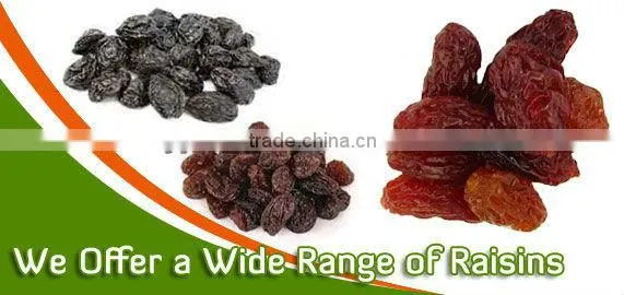 INDUSTRIAL RAISIN FOR VINEGAR & WINE