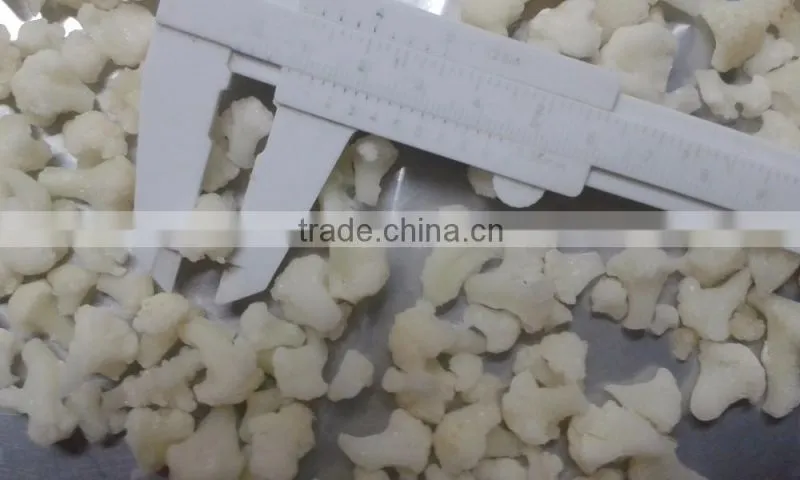 New crop IQF Frozen cauliflower-1-2cm