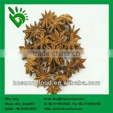 star aniseed powder