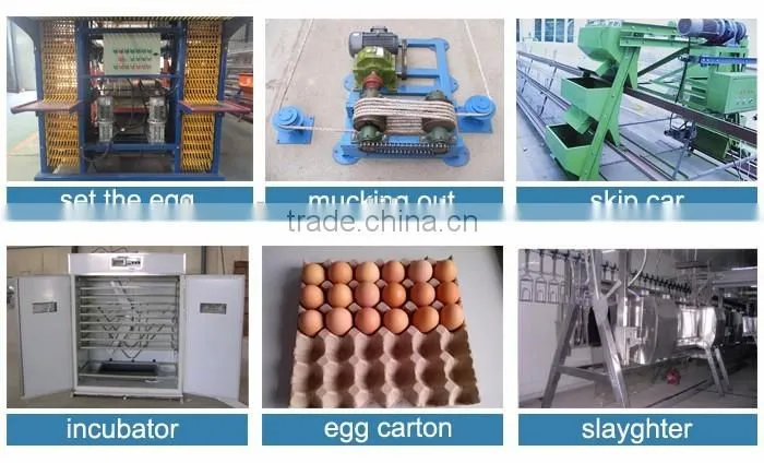 2016 hot sale quail layer cages for sale with low price