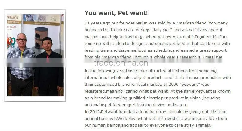cat products unique cat beds