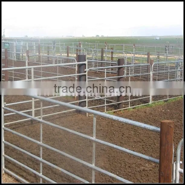 alive cattle panels / sheep panel / livestock panels used for sheep