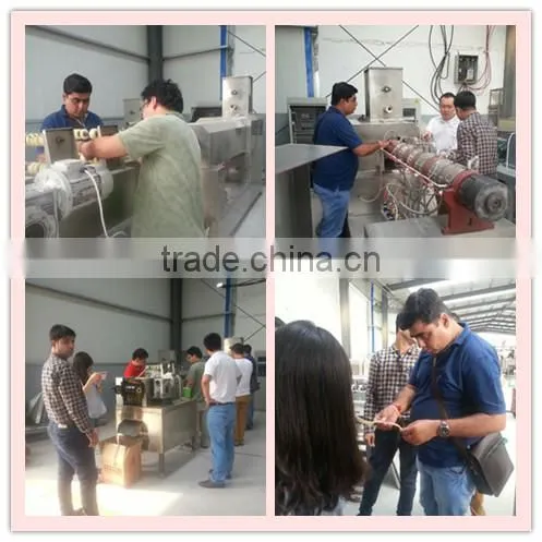 automatic double-screw snack food making machine,skype:li.sara9