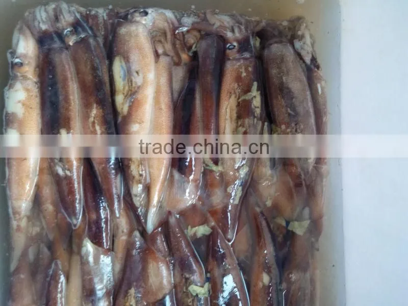 New land sea frozen squid 2015 jigger