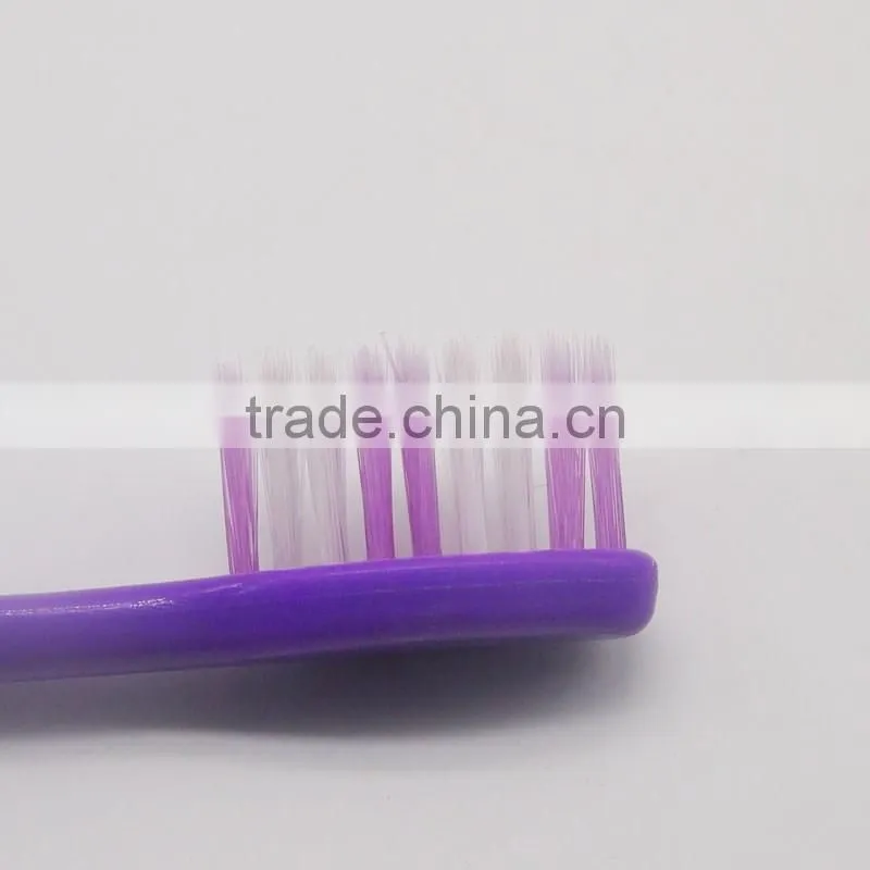 30PK plastic bag packaged dental floss pick