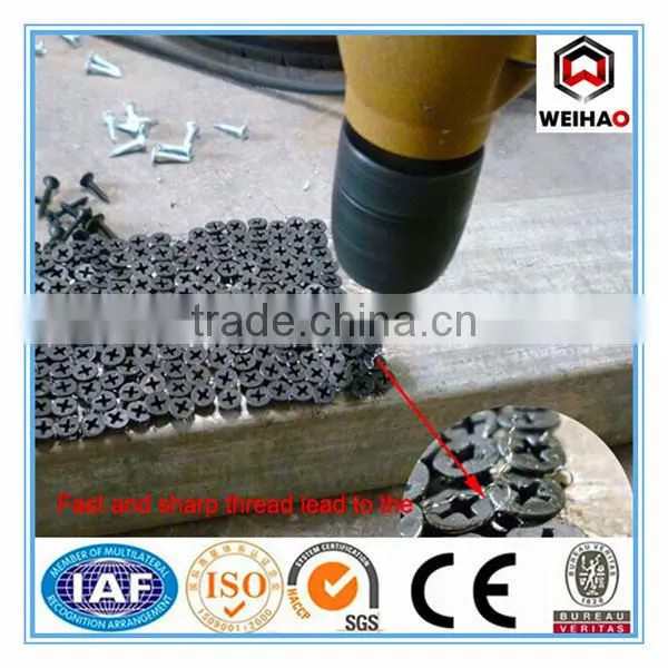 3.9*25 32 35 38 41 45 50 55mm Zinc drywall screw for export