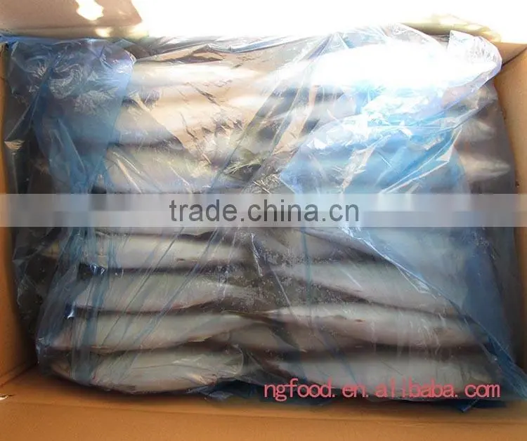 good fresh and frozen fish mackerel