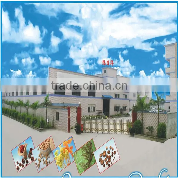 Dongguan Goflora Arts&Crafts Co., Ltd. company overview - view 1