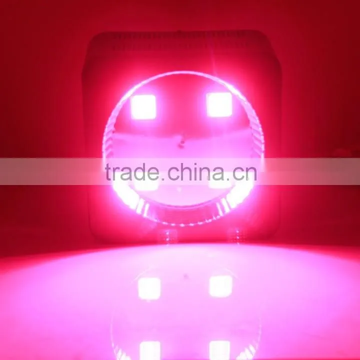 300W Full Spectrum Hydroponics COB Led Grow Light