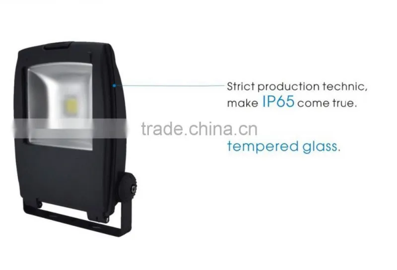 New Design IP65 Meanwell Driver LED Flood Light with bridgelux chip