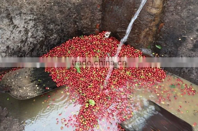 Best Quality Green Coffee Bean shell machine for coffee bean processing