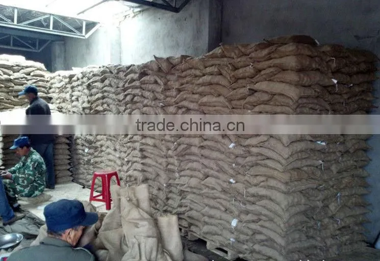 40-50 Dandong Chestnut, Lowest Price