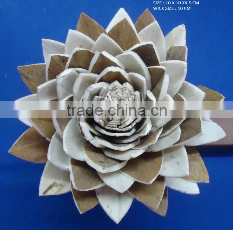 sola flower