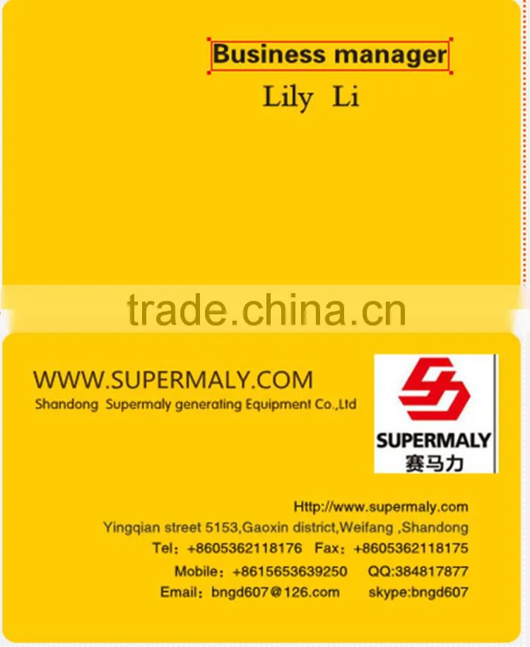 Supermaly 100KW Gas Generator with controller Deepsea