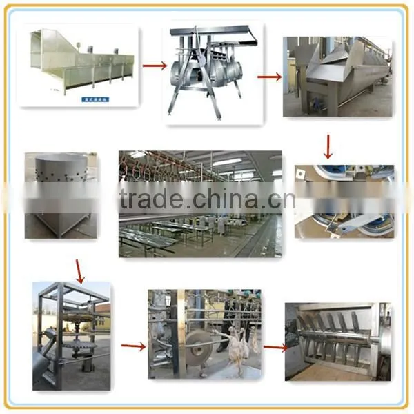 Long time working chicken blanch machine for chicken slaughter factory use