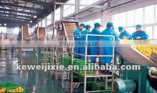juice production line