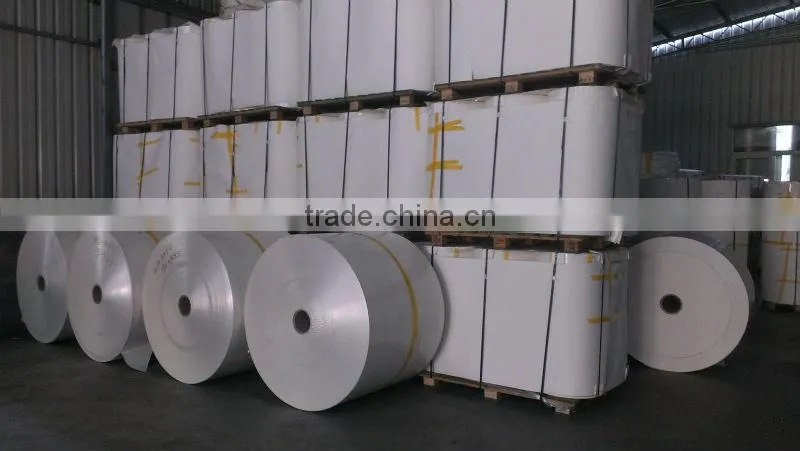 PE coated paper/single PE coated paper/double PE coated paper