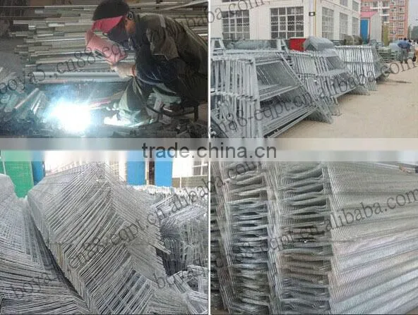 Durable economic steel wire mesh chicken cage